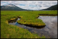 Meadow, South Sister, Deschutes National Forest. Oregon, USA (color)