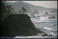 Coastline with rocks and seastacks, Samuel Boardman State Park. Oregon, USA