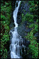 Waterfall, Hamburg Mountain State Parke. Oregon, USA
