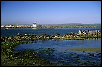 Coquille River estuary with lighthouse. Bandon, Oregon, USA ( color)