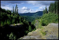 Forest and gorge, Lava Canyon. Mount St Helens National Volcanic Monument, Washington ( color)