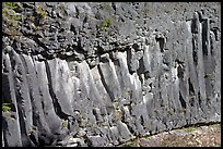 Columns of hardened basalt in lava cake, Lava Canyon. Mount St Helens National Volcanic Monument, Washington