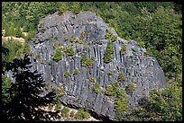 Bloc of columnar basalt, Lava Canyon. Mount St Helens National Volcanic Monument, Washington (color)