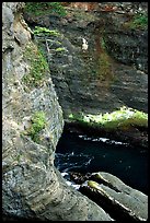 Sea cliffs, Cape Flattery, Olympic Peninsula. Olympic Peninsula, Washington (color)