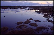 Okefenokee Swamp at sunset. Georgia, USA (color)