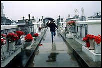 Rain in Saint Louis cemetery. New Orleans, Louisiana, USA (color)