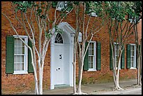 Rows of trees and Texada house. Natchez, Mississippi, USA ( color)