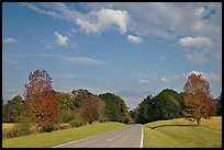 Road in meadow. Natchez Trace Parkway, Mississippi, USA ( color)