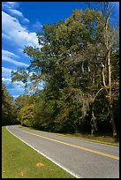 Road turn with trees and Spanish Moss. Natchez Trace Parkway, Mississippi, USA ( color)