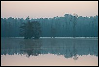 Lake with cypress and dawn. South Carolina, USA (color)