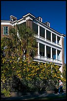 Historic antebellum mansion. Charleston, South Carolina, USA (color)