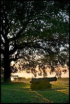 Cannon, bench, and oak tree, sunrise. Beaufort, South Carolina, USA