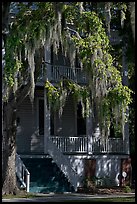 Spanish moss and balcony house. Beaufort, South Carolina, USA (color)