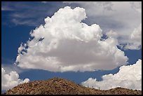 Cloud and ridge with saguaro cactus, Sonoran Desert National Monument. Arizona, USA (color)