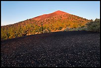 Cinder and Sunset Crater at sunrise. Sunset Crater Volcano National Monument, Arizona, USA ( color)