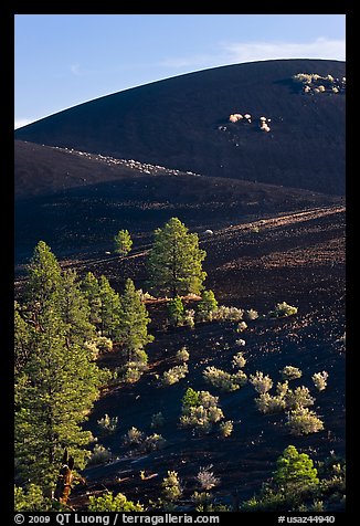 Cinder cone detail. Sunset Crater Volcano National Monument, Arizona, USA (color)