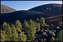 Volcanic landscape with cinder domes. Sunset Crater Volcano National Monument, Arizona, USA ( color)