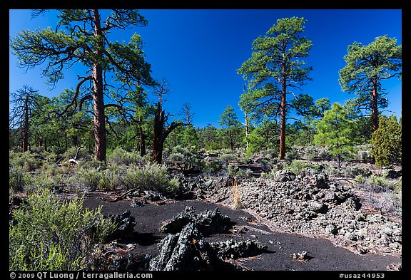Kana-a lava flow, Coconino National Forest. Arizona, USA (color)