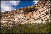 Sinagua cliff dwelling, Montezuma Castle National Monument. Arizona, USA ( color)