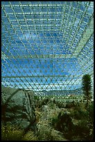 Ecosystem enclosed. Biosphere 2, Arizona, USA ( color)