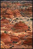 Sandstone mounds. Coyote Buttes, Vermilion cliffs National Monument, Arizona, USA (color)