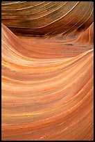 Ondulating sandstone stripes, The Wave. Vermilion Cliffs National Monument, Arizona, USA ( color)