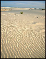 Ripples in sand dunes. White Sands National Park, New Mexico, USA.