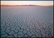 Cracked mud flat at sunrise, Black Rock Desert. Nevada, USA (color)