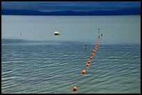 Buoy line, South Lake Tahoe, California. USA (color)