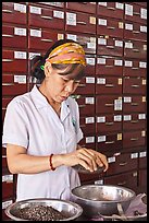 Woman weighting preparing traditional medicinal ingredients. Cholon, Ho Chi Minh City, Vietnam (color)
