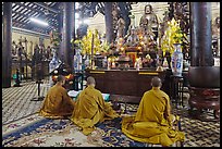 Buddhist monks perform ceremony, Giac Lam Pagoda, Tan Binh District. Ho Chi Minh City, Vietnam (color)