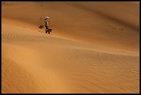 Woman with conical hat and yoke baskets pauses on sand dunes. Mui Ne, Vietnam ( color)