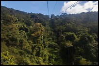 Tropical forest seen from cable car. Ta Cu Mountain, Vietnam ( color)