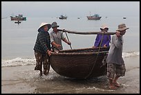 Fishermen carry round woven boat to shore. Mui Ne, Vietnam ( color)