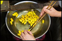Hands handling silkworm cocoons with chopsticks. Hoi An, Vietnam ( color)