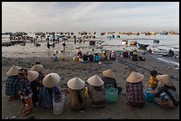 Women with conical hats sit on beach as fresh catch arrives. Mui Ne, Vietnam ( color)