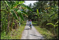 Woman bicycling on narrow road surrounded by banana trees. Ben Tre, Vietnam ( color)