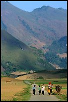 Villagers walking on the road, near Tuan Giao. Northwest Vietnam ( color)