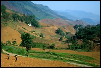 Two montagnards walking down a field, between Tuan Giao and Lai Chau. Northwest Vietnam ( color)