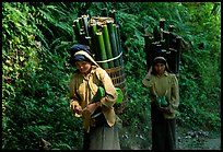 Montagnard women carrying bamboo sections, near Lai Chau. Northwest Vietnam (color)