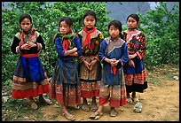 Flower Hmong girls. Bac Ha, Vietnam (color)
