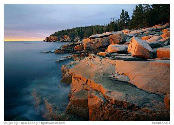 Otter Point, Acadia National Park, Maine.  ()