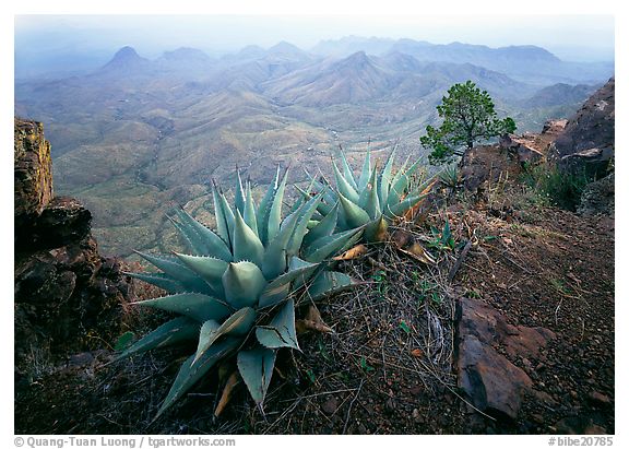 South Rim, Big Bend National Park, Texas.  ()