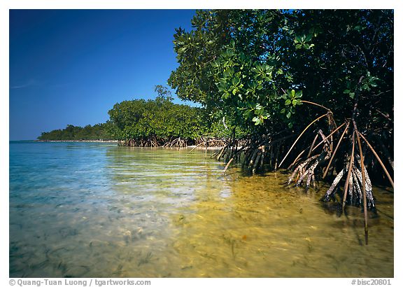 Elliott Key, Biscayne National Park, Florida.  ()