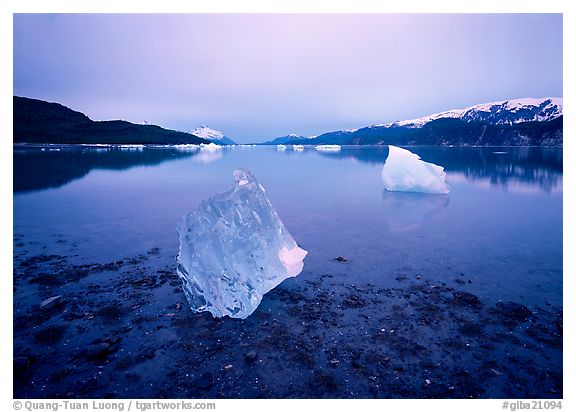 Muir inlet, Glacier Bay National Park, Alaska.  ()