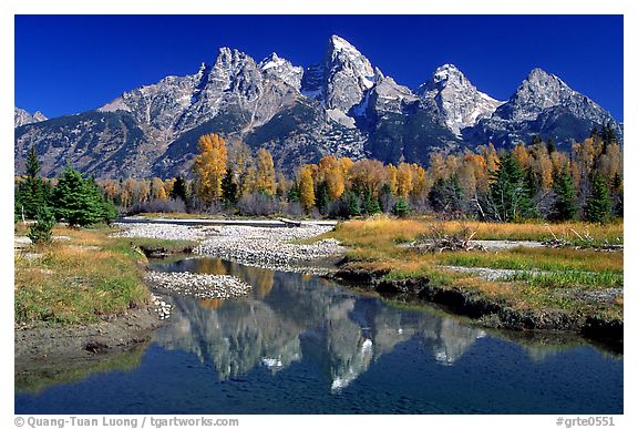 Schwabacher landing, Grand Teton National Park, Wyoming.  ()