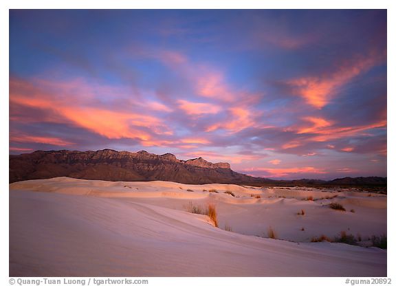 Guadalupe Mountains National Park, Texas.  ()