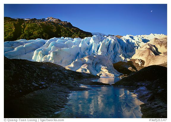 Exit Glacier,  Kenai Fjords  National Park, Alaska.  ()