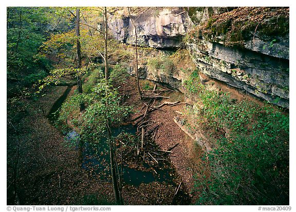 Mammoth Cave National Park, Kentucky.  ()