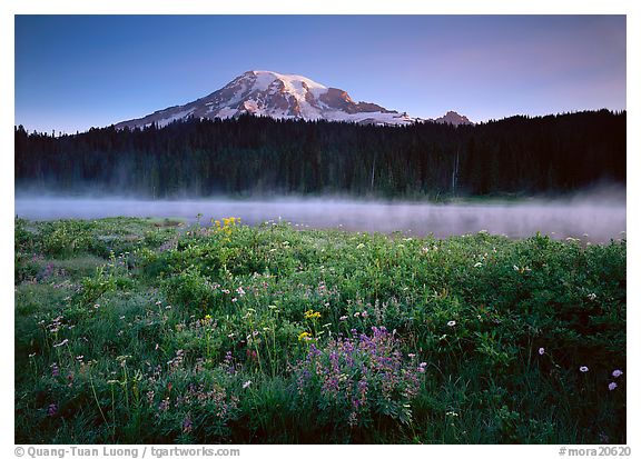 Reflection Lake, Mount Rainier National Park, Washington.  ()